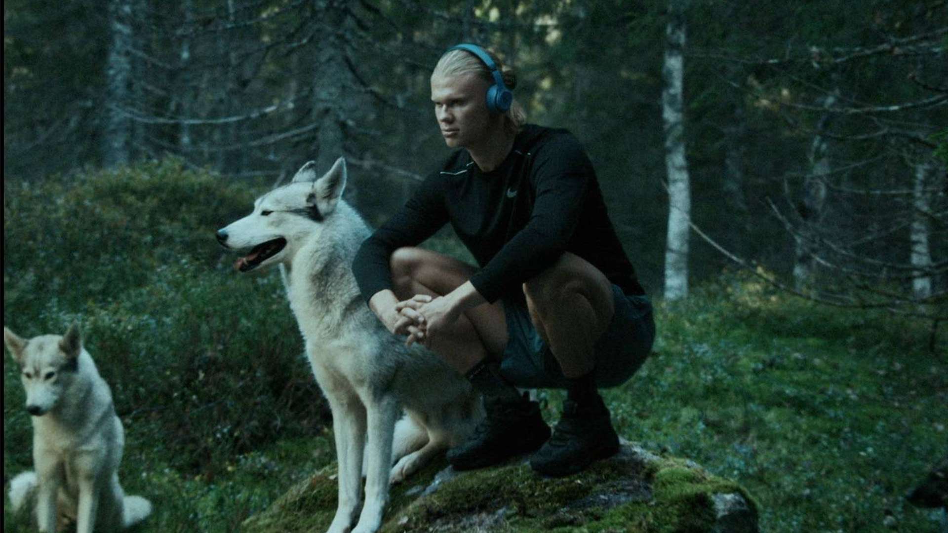 更是推动中 更是推动中