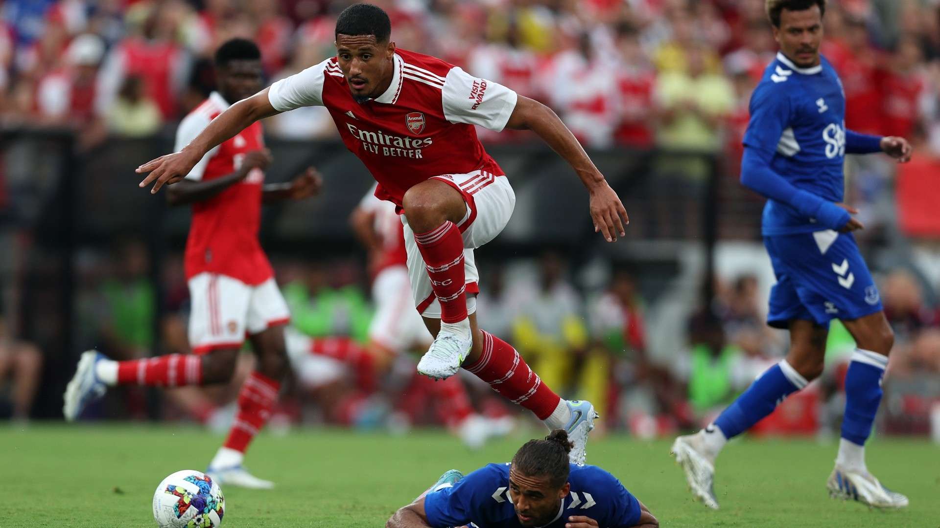 迷与专家的 迷与专家的